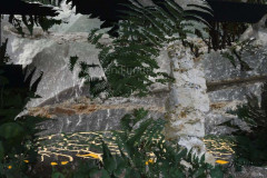 Regnskov (70 x 100 cm)