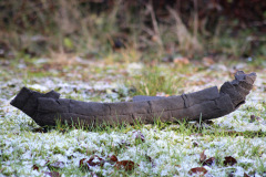 Den Rejsendes Skib, længde 49 cm